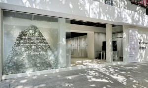 The Ordinary研度公式「功效商店」只为功效买单