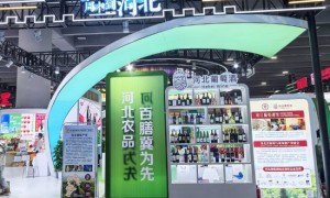 润石集团首次亮相第二十一届中国国际农产品交易会，助力乡村振兴新篇章